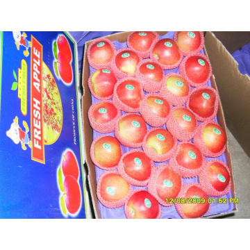 Manzana roja fresca de la gala de calidad superior